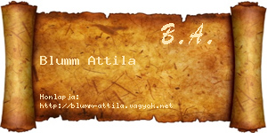 Blumm Attila névjegykártya